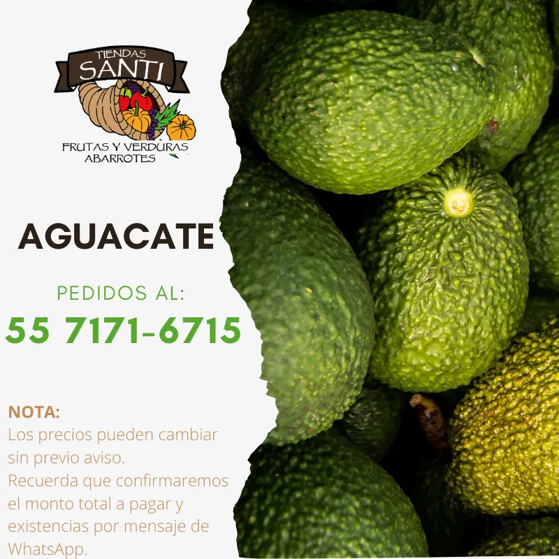 AGUACATE 1RA