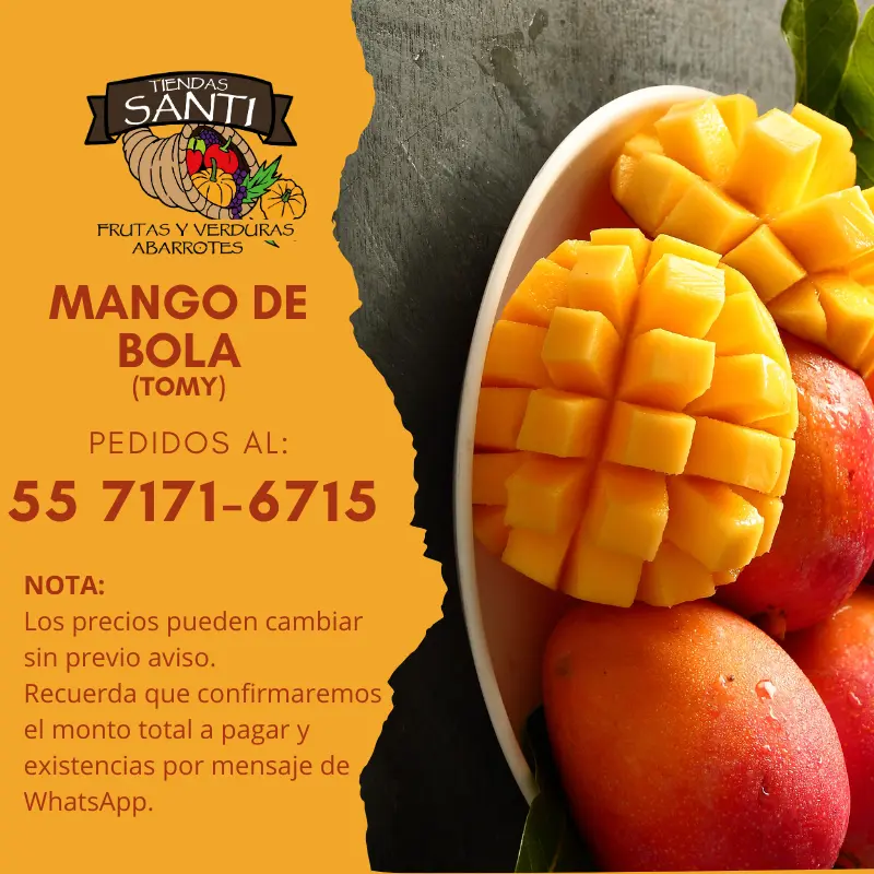 MANGO DE BOLA (TOMMY)