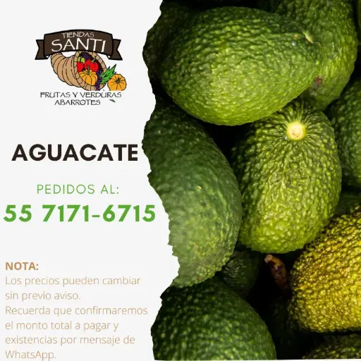 [AGUACATE 1RA] AGUACATE 1RA