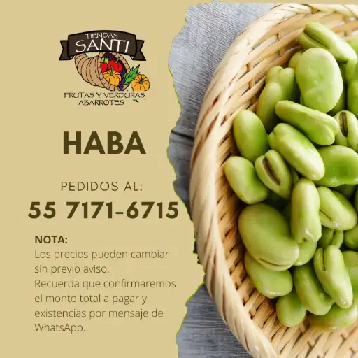 [HABA] HABA