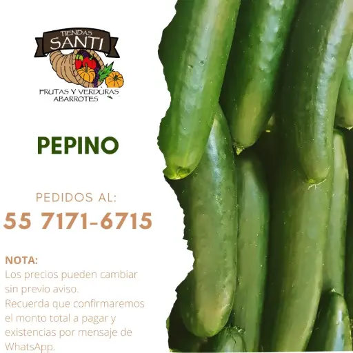 [PEPINO] PEPINO