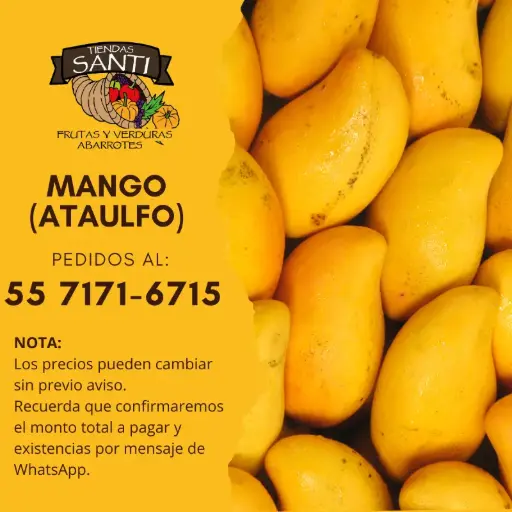 [ATAULFO PRIMERA] MANGO (ATAULFO PRIMERA)