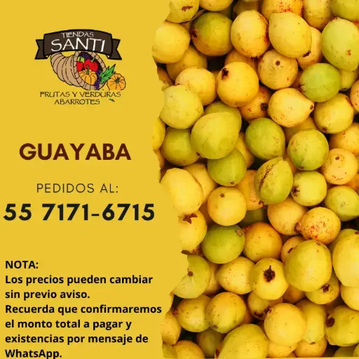 [GUAYABA PRIMERA] GUAYABA PRIMERA