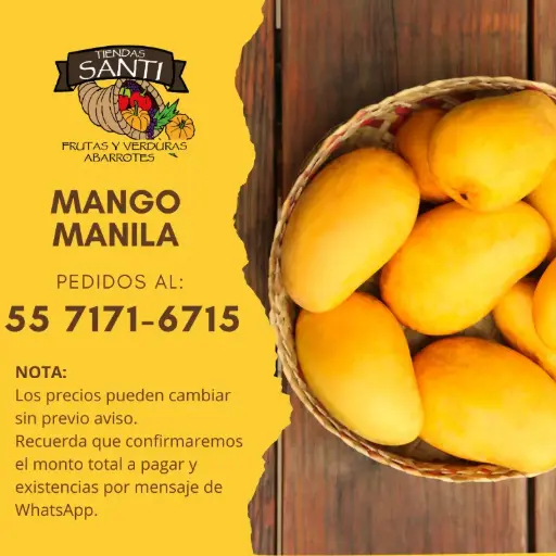 [MANILA PRIMERA] MANGO (MANILA PRIMERA)