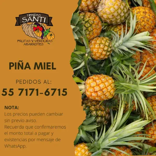 [PIÑA] PIÑA