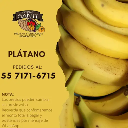 [PLATANO] PLÁTANO