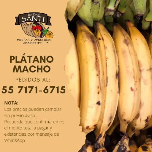 [PLATANO MACHO] PLÁTANO MACHO