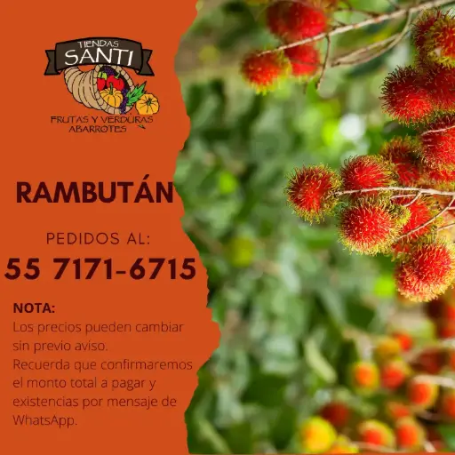 [RAMBUTAN] RAMBUTÁN