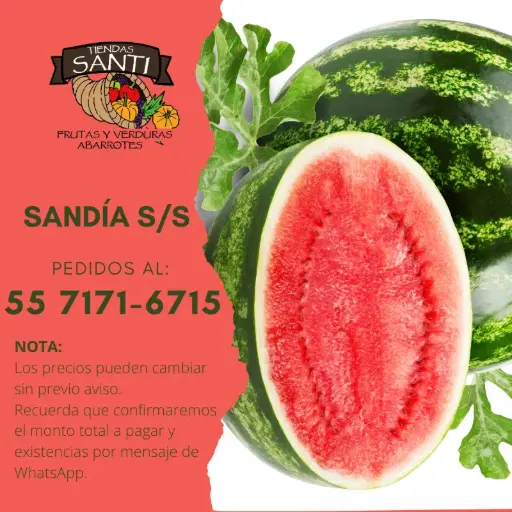 [SANDA S/S] SANDIA S/S