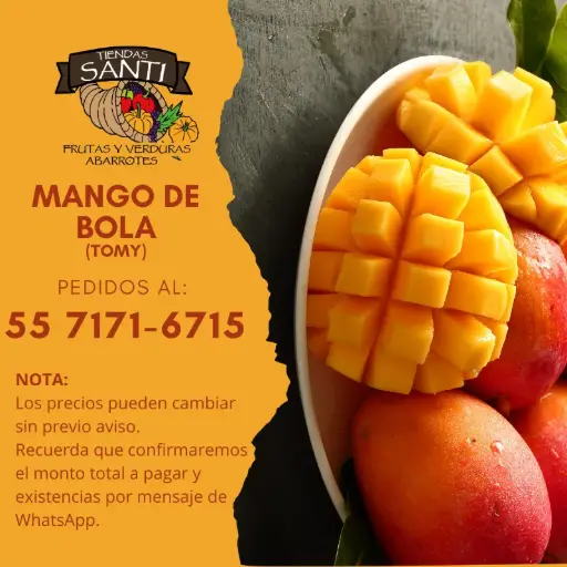 [TOMY] MANGO DE BOLA (TOMMY)