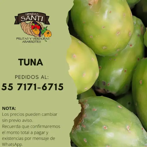 [TUNA  ] TUNA  