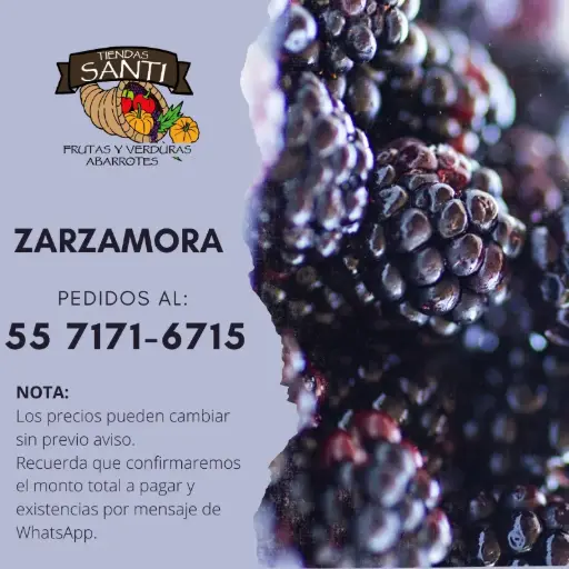 [ZARZAMORA] ZARZAMORA